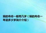 貓的壽命一般有幾歲（貓的壽命一年是多少歲簡(jiǎn)介介紹）