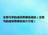 含有鳥字的成語有哪些詞語（含有鳥的成語有哪些簡(jiǎn)介介紹）