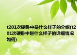 t201次硬臥中是什么樣子的介紹(t201次硬臥中是什么樣子的詳細(xì)情況如何)