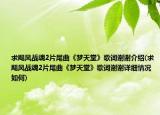 求颶風(fēng)戰(zhàn)魂2片尾曲《夢天堂》歌詞謝謝介紹(求颶風(fēng)戰(zhàn)魂2片尾曲《夢天堂》歌詞謝謝詳細(xì)情況如何)