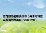 雪花飄落的唯美語句（關(guān)于描寫雪花飄落的唯美句子簡介介紹）