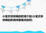 小寶貝快快睡的歌詞介紹(小寶貝快快睡的歌詞詳細(xì)情況如何)