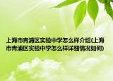 上海市青浦區(qū)實驗中學(xué)怎么樣介紹(上海市青浦區(qū)實驗中學(xué)怎么樣詳細情況如何)