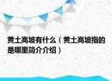 黃土高坡有什么（黃土高坡指的是哪里簡介介紹）