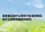 霧里看花是什么意思介紹(霧里看花是什么意思詳細(xì)情況如何)