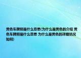 黃色車牌照是什么意思(為什么是黃色的介紹 黃色車牌照是什么意思 為什么是黃色的詳細情況如何)