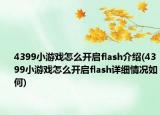 4399小游戲怎么開啟flash介紹(4399小游戲怎么開啟flash詳細(xì)情況如何)