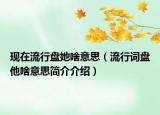 現(xiàn)在流行盤她啥意思（流行詞盤他啥意思簡(jiǎn)介介紹）