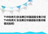 TVB包青天(狄龍黃日華國(guó)語(yǔ)版全集介紹 TVB包青天 狄龍黃日華國(guó)語(yǔ)版全集詳細(xì)情況如何)