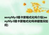 sonyMp3插卡要格式化嗎介紹(sonyMp3插卡要格式化嗎詳細(xì)情況如何)