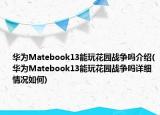 華為Matebook13能玩花園戰(zhàn)爭嗎介紹(華為Matebook13能玩花園戰(zhàn)爭嗎詳細(xì)情況如何)