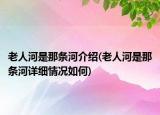 老人河是那條河介紹(老人河是那條河詳細情況如何)