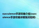 succulence手游攻略介紹(succulence手游攻略詳細情況如何)