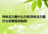 熱朱古力是什么介紹(熱朱古力是什么詳細(xì)情況如何)
