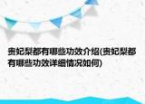 貴妃梨都有哪些功效介紹(貴妃梨都有哪些功效詳細情況如何)