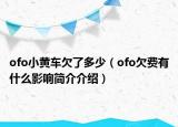 ofo小黃車欠了多少（ofo欠費(fèi)有什么影響簡(jiǎn)介介紹）