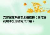 支付寶花唄是怎么借錢的（支付寶花唄怎么借錢簡(jiǎn)介介紹）