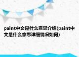 paint中文是什么意思介紹(paint中文是什么意思詳細情況如何)
