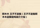 阿木木 王子不是我（王子不是我阿木木是限定嗎簡(jiǎn)介介紹）