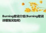 Burning歌詞介紹(Burning歌詞詳細(xì)情況如何)