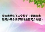 秦宣太后生了三個(gè)兒子（秦國(guó)宣太后另外兩個(gè)兒子和誰生的簡(jiǎn)介介紹）