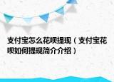 支付寶怎么花唄提現(xiàn)（支付寶花唄如何提現(xiàn)簡介介紹）