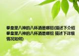 拳皇里八神的八杯酒是哪招(描述下介紹 拳皇里八神的八杯酒是哪招 描述下詳細(xì)情況如何)