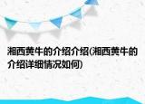 湘西黃牛的介紹介紹(湘西黃牛的介紹詳細情況如何)