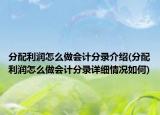 分配利潤怎么做會(huì)計(jì)分錄介紹(分配利潤怎么做會(huì)計(jì)分錄詳細(xì)情況如何)