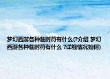 夢(mèng)幻西游各種臨時(shí)符有什么(?介紹 夢(mèng)幻西游各種臨時(shí)符有什么 ?詳細(xì)情況如何)