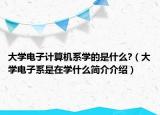 大學電子計算機系學的是什么?（大學電子系是在學什么簡介介紹）