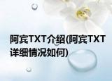 阿賓TXT介紹(阿賓TXT詳細(xì)情況如何)