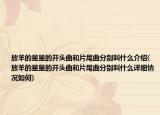 放羊的星星的開頭曲和片尾曲分別叫什么介紹(放羊的星星的開頭曲和片尾曲分別叫什么詳細情況如何)