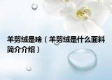 羊剪絨是啥（羊剪絨是什么面料簡(jiǎn)介介紹）