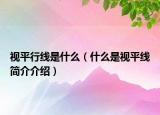 視平行線是什么（什么是視平線簡(jiǎn)介介紹）