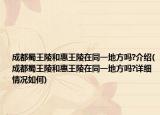 成都蜀王陵和惠王陵在同一地方嗎?介紹(成都蜀王陵和惠王陵在同一地方嗎?詳細(xì)情況如何)