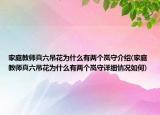家庭教師真六吊花為什么有兩個嵐守介紹(家庭教師真六吊花為什么有兩個嵐守詳細情況如何)
