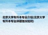北京大學(xué)專升本專業(yè)介紹(北京大學(xué)專升本專業(yè)詳細情況如何)