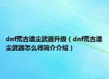 dnf荒古遺塵武器升級(jí)（dnf荒古遺塵武器怎么得簡(jiǎn)介介紹）