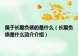 屬于長期負債的是什么（長期負債是什么簡介介紹）