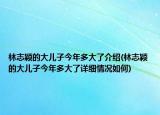 林志穎的大兒子今年多大了介紹(林志穎的大兒子今年多大了詳細情況如何)