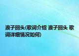 浪子回頭(歌詞介紹 浪子回頭 歌詞詳細(xì)情況如何)