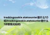 trackingcookie.statcounter是什么?介紹(trackingcookie.statcounter是什么?詳細情況如何)