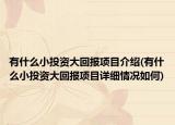有什么小投資大回報(bào)項(xiàng)目介紹(有什么小投資大回報(bào)項(xiàng)目詳細(xì)情況如何)