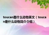 toucan是什么動(dòng)物英文（toucan是什么動(dòng)物簡(jiǎn)介介紹）