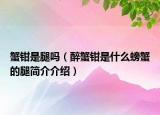蟹鉗是腿嗎（醉蟹鉗是什么螃蟹的腿簡介介紹）