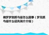 做夢夢到抓鳥是怎么回事（夢見抓鳥是什么征兆簡介介紹）