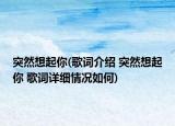 突然想起你(歌詞介紹 突然想起你 歌詞詳細(xì)情況如何)