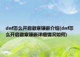 dnf怎么開啟徽章鑲嵌介紹(dnf怎么開啟徽章鑲嵌詳細情況如何)