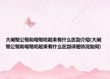 大閘蟹公蟹和母蟹吃起來(lái)有什么區(qū)別介紹(大閘蟹公蟹和母蟹吃起來(lái)有什么區(qū)別詳細(xì)情況如何)